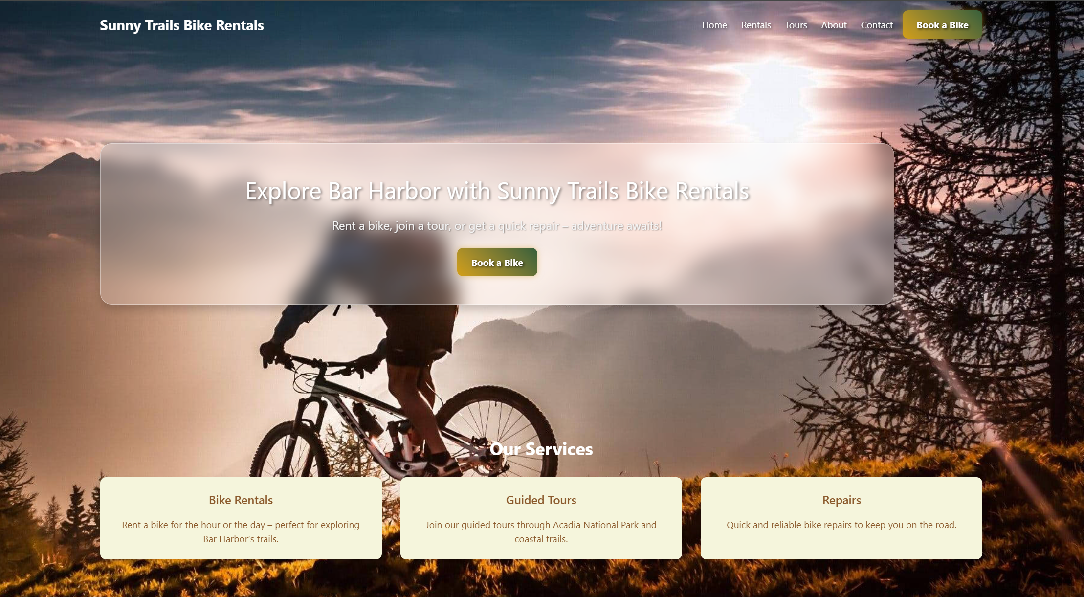 Website Design 1